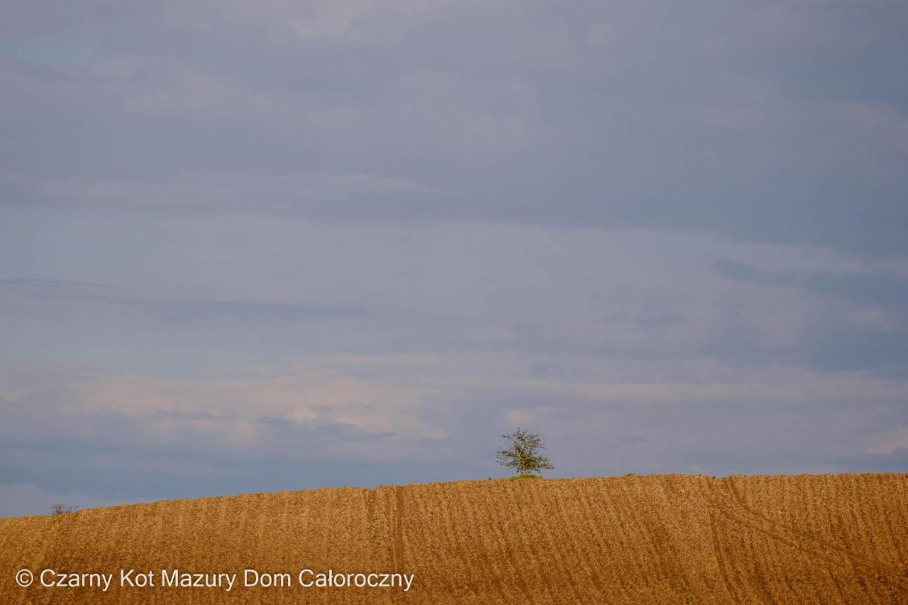 Czarny Kot Mazury Dom Caloroczny Villa Malkinie Kültér fotó