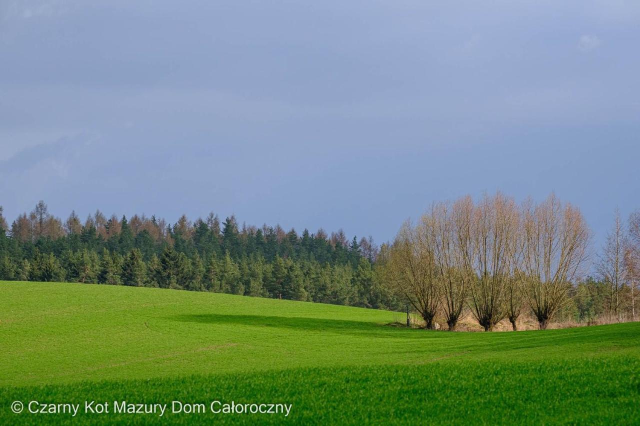 Czarny Kot Mazury Dom Caloroczny Villa Malkinie Kültér fotó
